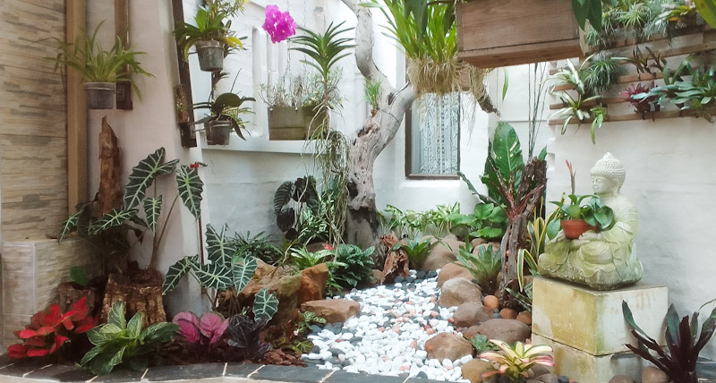 atrium landscaped with exotic plants