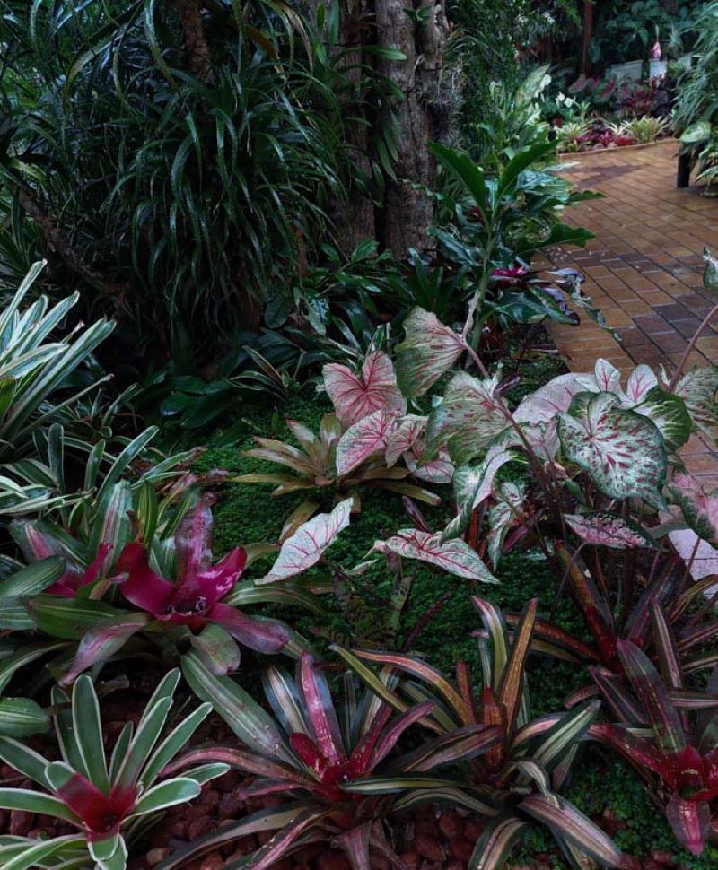 small urban landscaped garden
