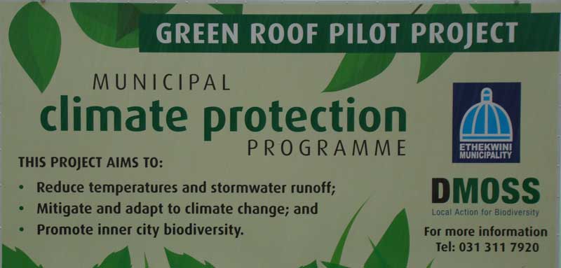 green roof project