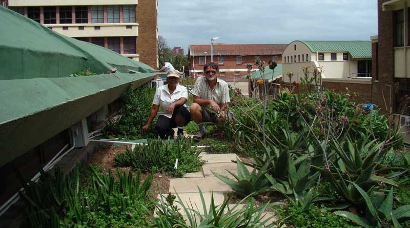 greenroof project durban