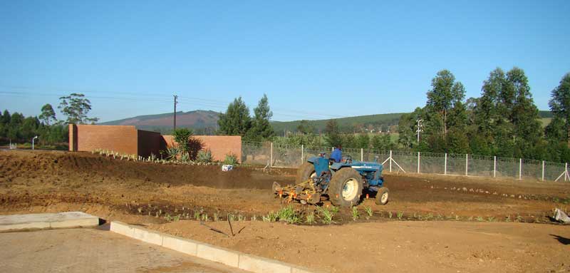 rotorvating soil ixopo