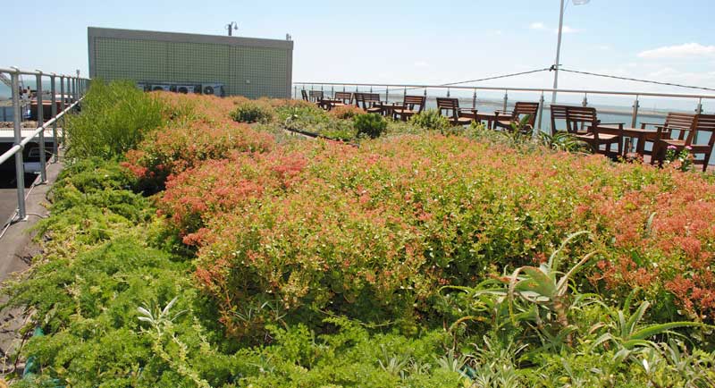 green roof sand pumping station durban